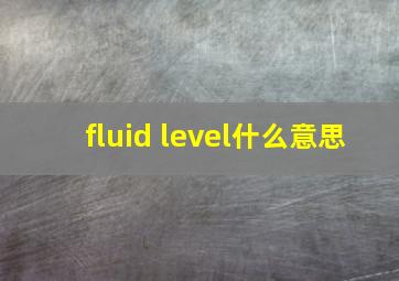 fluid level什么意思